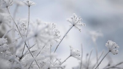 Прогноз погоды на 11 февраля: во многих регионах Казахстана ожидается значительное похолодание