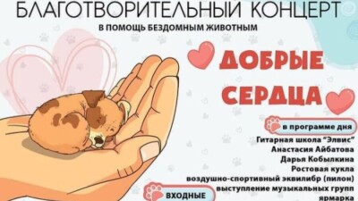 Благотворительный концерт в помощь бездомным животным пройдёт в Нур-Султане 30 мая
