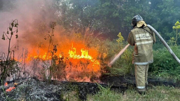 МЧС: С утра на очаг пожара в Абайской области произвели 164 сброса воды