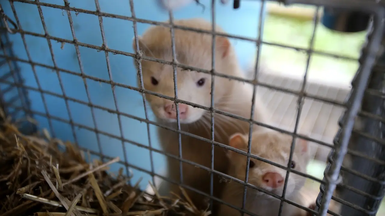 Фото Depositphotos.com