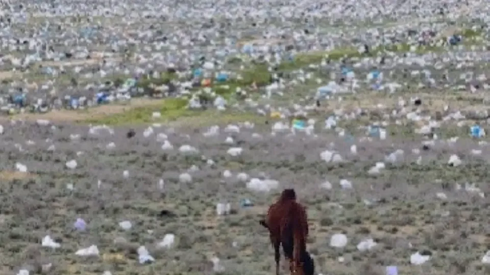 Кадр из видео azamat_sarsenbayev в Instagram