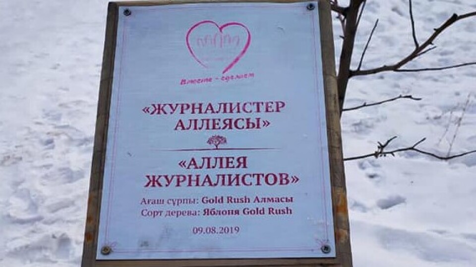 Деревья на аллее журналистов в "Атакенте" сломали из-за расположенной поблизости горки