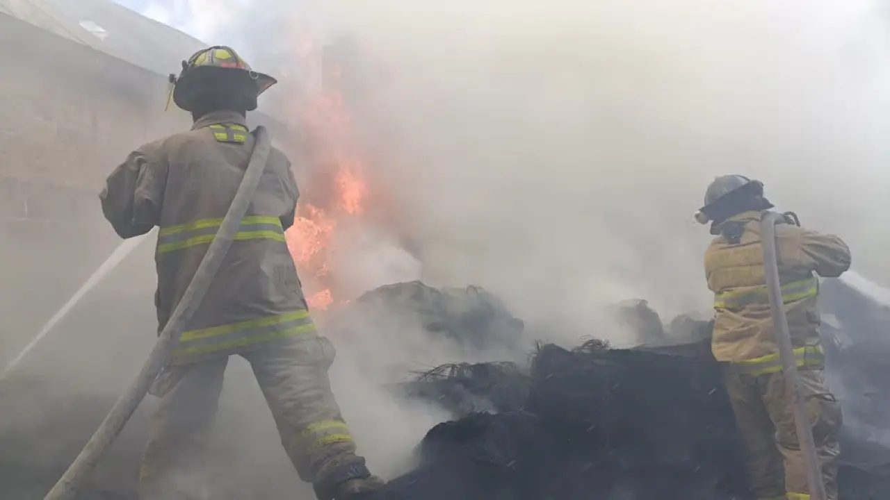 Частный самолёт упал в Мексике: все находившиеся на борту люди погибли