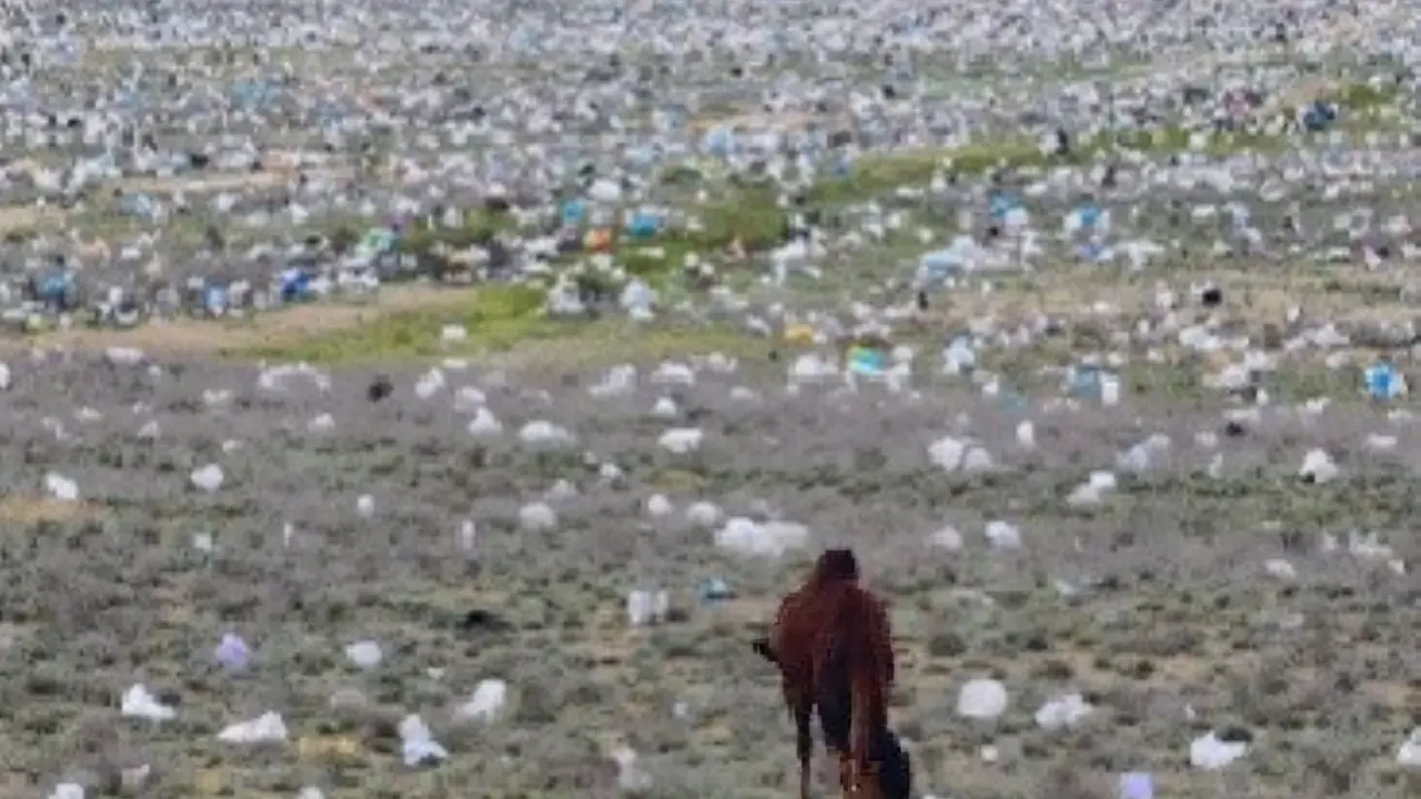 "Пожалуйста, скажите, что это ИИ". Видео с разбросанным мусором в степи Мангистау прокомментировали чиновники