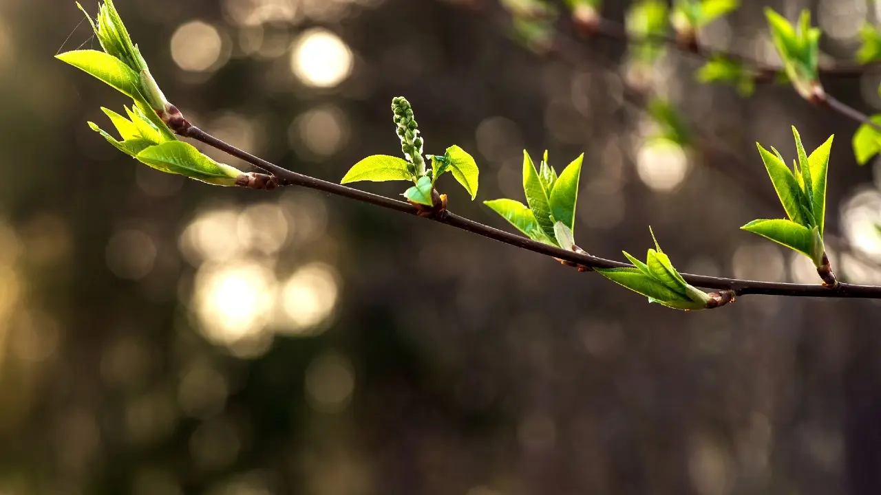 Фото: Depositphotos.com