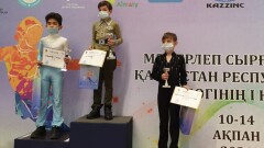 "Казцинк" помог фонду Дениса Тена в организации Кубка РК