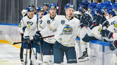 Чемпионом Казахстана по хоккею с шайбой стал столичный "Номад"