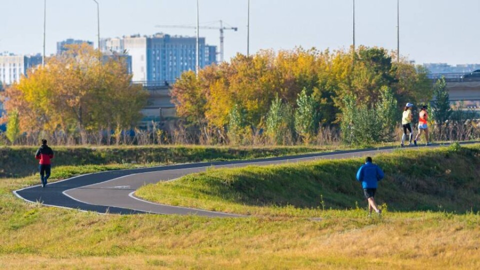 На месте Триатлон парка в Нур-Султане не построят небоскрёб