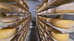 ТОО "АйБат": Акцент на экологически чистые продукты