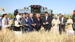 В Кызылординской области стабильно развивается сельхозотрасль