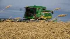 Батыс Қазақстан облысының қамбалары астыққа толды