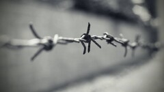Госархив области Абай рассказал о редких документах репрессированных казахстанцев
