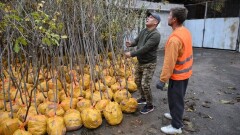 В Алматы началась кампания "Жарқын күз"
