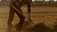Шағын Ащысайдағы еңбекқорлықтың ерен үлгісі