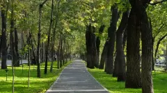 Функциональность и комфорт: как программа "Бюджет народного участия" преображает улицу Чайковского