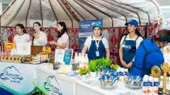 Продовольственная безопасность и экспорт: в ВКО стартовал международный аграрный форум