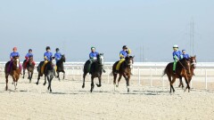 Шымкентте ұлттық спорт түрлері бойынша халықаралық жарыс мәресіне жетті
