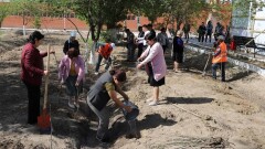 Сыр елінде  "Жасыл аймақ" апталығы  аясында жалпыоблыстық сенбілік өтті