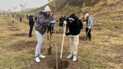 Ассамблея жастары Шымкентте 160 мың түп ағаш егу акциясын бастады