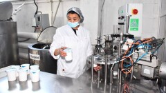 Производство готовой молочной продукции наращивают в Акмолинской области