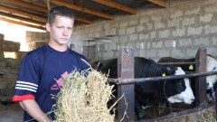 Молодой фермер из Арыси возродил дело отца