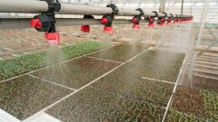 В Туркестанской области за 4 месяца произведено сельхозпродукции на 163,5 млрд тенге