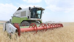 В Туркестанской области объём сельхозпродукции превысил 1 трлн тенге