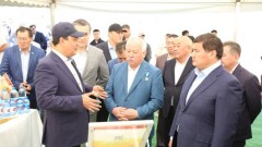 В Кызылорде стартовала уборочная кампания