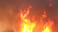 В Туркестанской области потушили крупный степной пожар