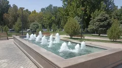 220 тысяч деревьев и никакой пыли: Шымкент переходит на автополив