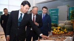 В Туркестане прошёл торжественный праздник работников сельского хозяйства "Altyn kúz-2022"