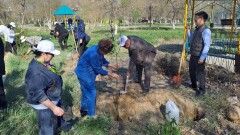 Қызылордалықтар Мұстафа Шоқай мен Батырхан Шөкенов ескерткіштеріне тағзым етті
