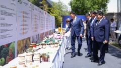 Бизнесмены Шымкента провели B2B-переговоры с китайскими предпринимателями