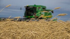Аграрии Костанайской области собрали весомый урожай зерна