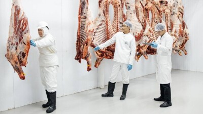 Что должен знать потребитель, покупающий мясо?