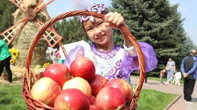 Apple Fest 2024: Нiro и Captown, 130 тонн яблок, 1700 литров яблочного компота и цирк шапито