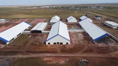 Новую молочно-товарную ферму запустят в Акмолинской области