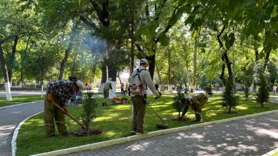 В Шымкенте продолжается республиканская акция "Таза Қазақстан"