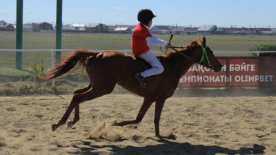 В Костанайской области отобрали лучших скаковых лошадей для финала чемпионата по конному спорту