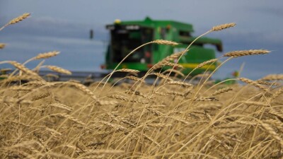 В 2023 году сельское хозяйство Абайской области увеличило производство более чем в два раза