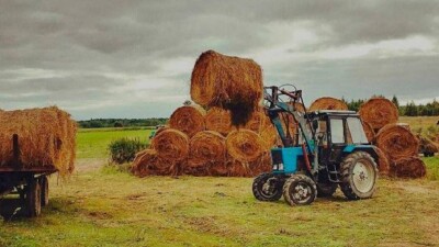 Жамбыл облысында 2,6 миллион тонна пішен жиналған