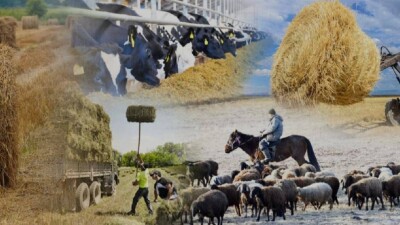 Жамбыл облысында тұрғындар "Ауыл аманаты" жобасының игілігін көруде
