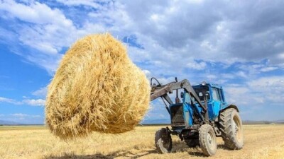 В управлении сельского хозяйства Атырауской области прокомментировали задержку в работах по заготовке кормов
