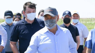 В зеленом поясе Туркестана собрали первый урожай бахчевых