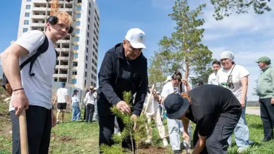 "Таза Қазақстан": выпускники ВКО внесли свой вклад в озеленение города, высадив 2,5 тысячи деревьев
