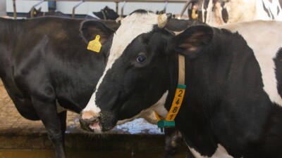 Испанские инвесторы построят агропромышленный комплекс в Акмолинской области