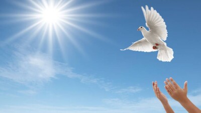 Свобода выбора: пять преимуществ того, что Казахстан – светское государство