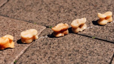 Проникаясь духом Великой степи. Юные жаркаинцы приняли участие в турнире по тоғызқұмалақ и асық ату