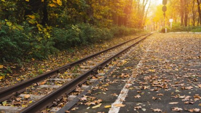 Чартерный поезд для иностранных туристов запустили в седьмой раз