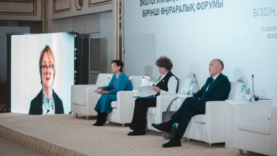 Минэкологии, общественность и предприятия решают, как сделать воздух в Казахстане чище